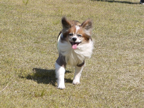 e0100046_22585519.jpg