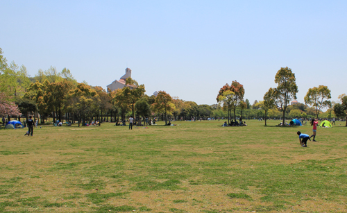 a0004752_201455.jpg