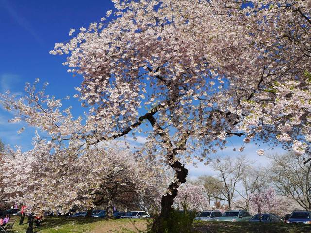 b0173754_0262832.jpg