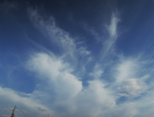b0173754_0295156.jpg