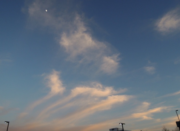 b0173754_2315762.jpg