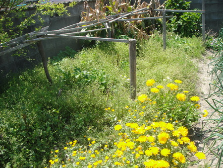 c0108460_211541100.jpg