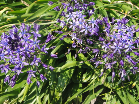 c0108460_2117287.jpg