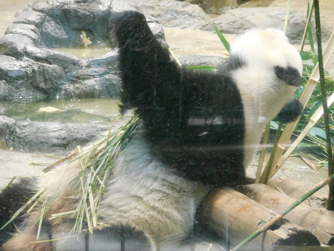 b0286966_17231756.jpg
