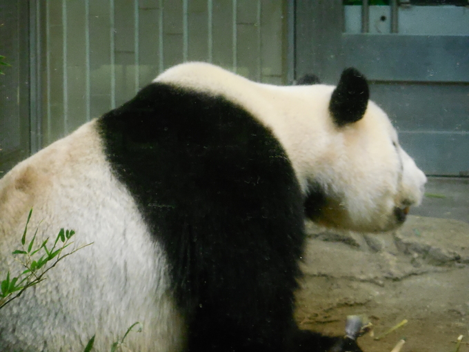 b0286966_17401189.jpg