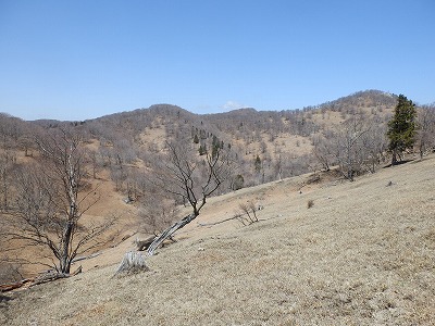 f0057070_19341699.jpg