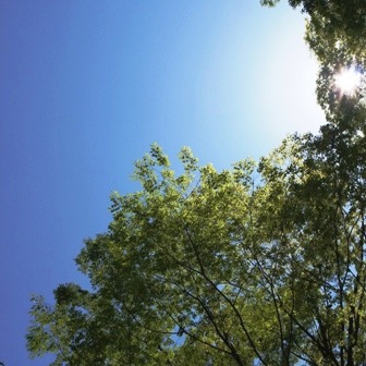c0108673_1335595.jpg