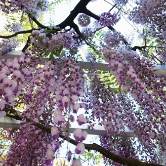 c0108673_21421798.jpg