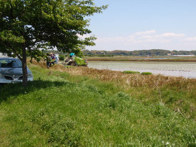 a0113874_181163.jpg