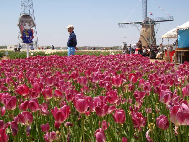 a0113874_18141431.jpg