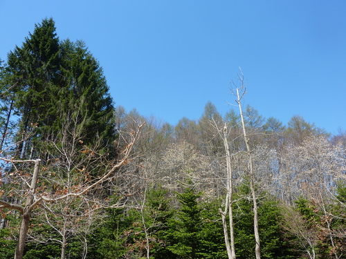 e0207477_14192778.jpg