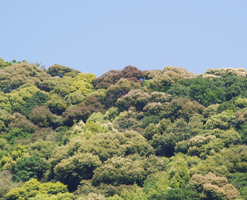 f0054677_884870.jpg