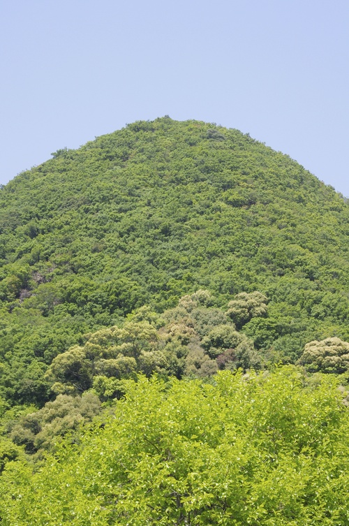 f0054677_894044.jpg