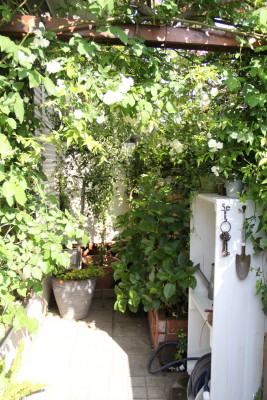 e0154682_22484238.jpg