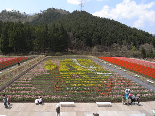 f0131491_18102687.jpg