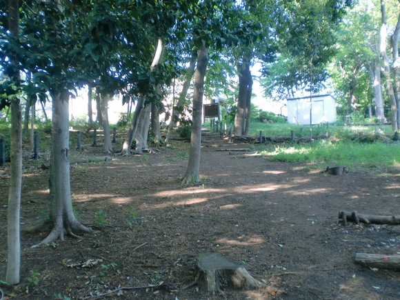 e0244892_23343369.jpg