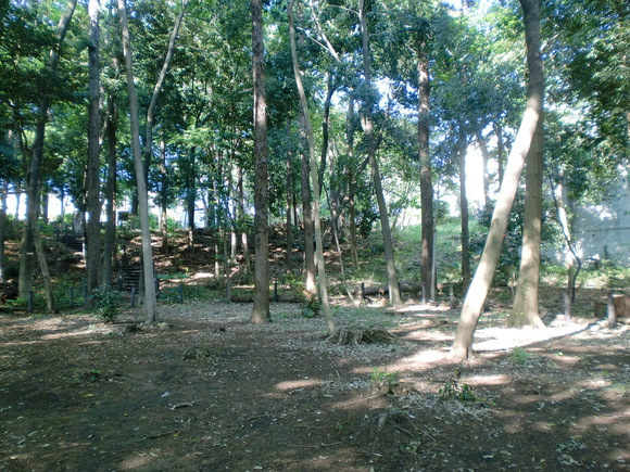 e0244892_23385058.jpg