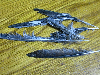 f0181394_14581597.jpg