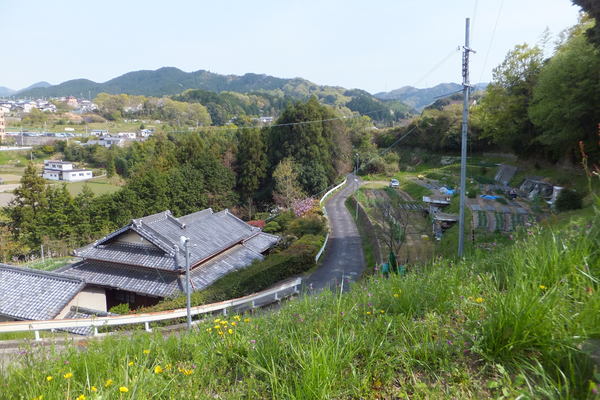 b0212898_9384859.jpg