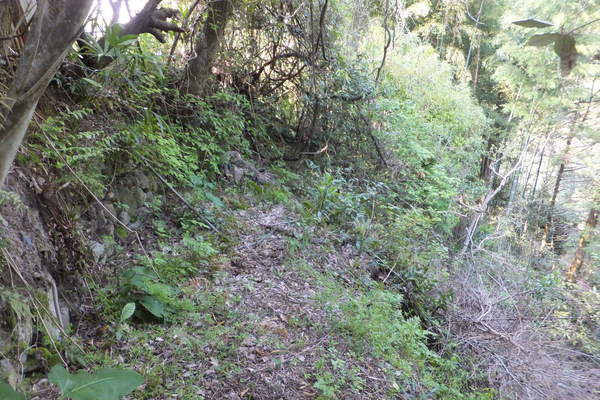 b0212898_950715.jpg