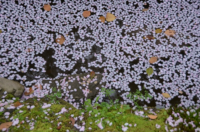 a0169902_11211870.jpg