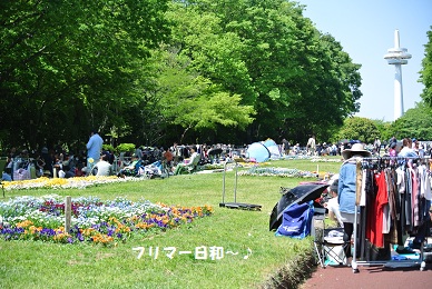 a0134004_23584679.jpg