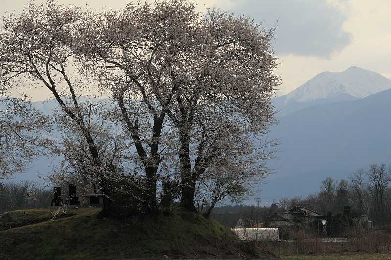 a0188405_1835195.jpg