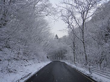 b0172805_7314092.jpg