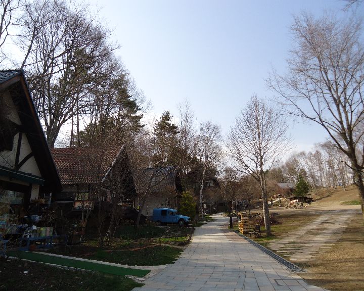 b0148106_6481056.jpg
