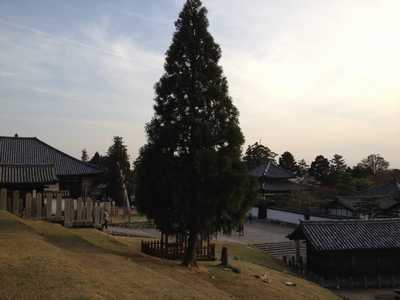 f0221708_1481839.jpg