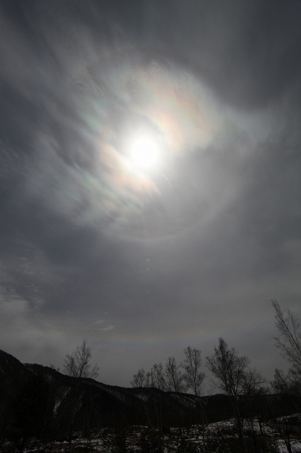 e0242721_7595791.jpg