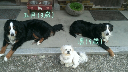 f0194321_0282395.jpg