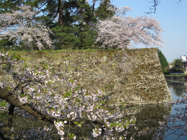 c0141223_12595093.jpg