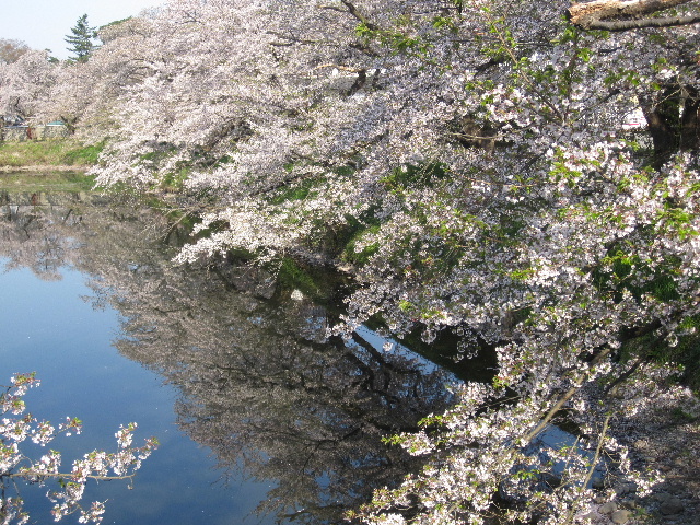 c0141223_1325024.jpg