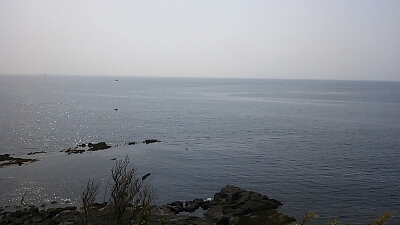 f0267023_1030180.jpg