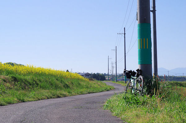 f0007926_16565334.jpg