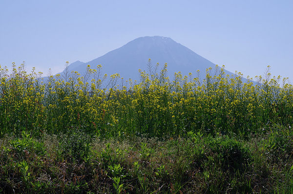 f0007926_1728158.jpg