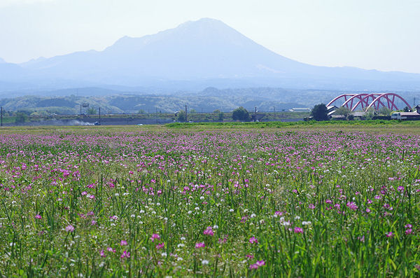 f0007926_17312648.jpg