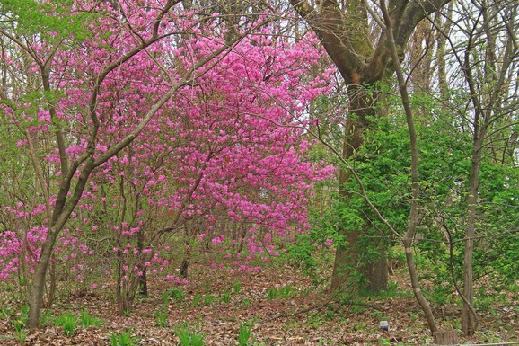c0104227_0503322.jpg