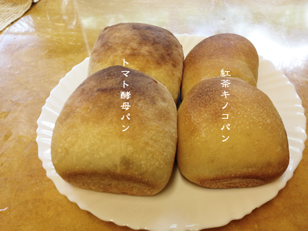 d0042827_1146181.jpg