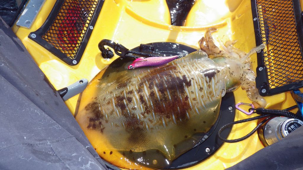 b0173629_22405030.jpg