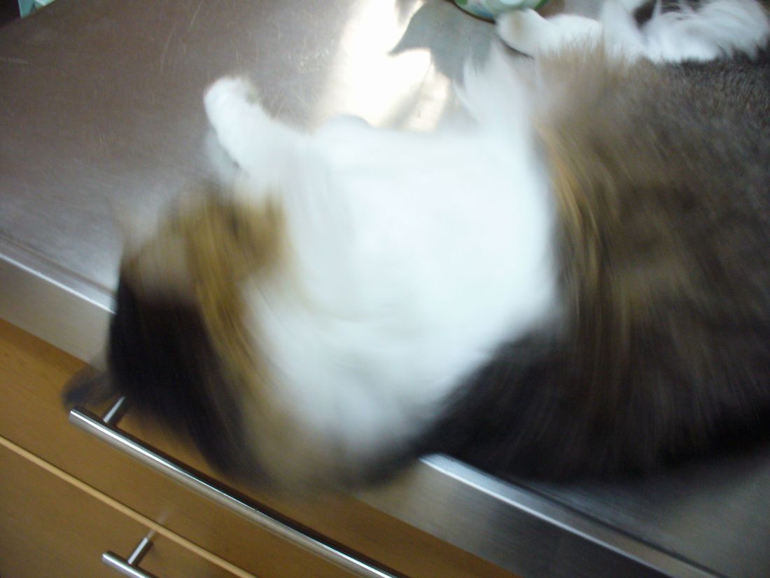 f0275632_22233956.jpg