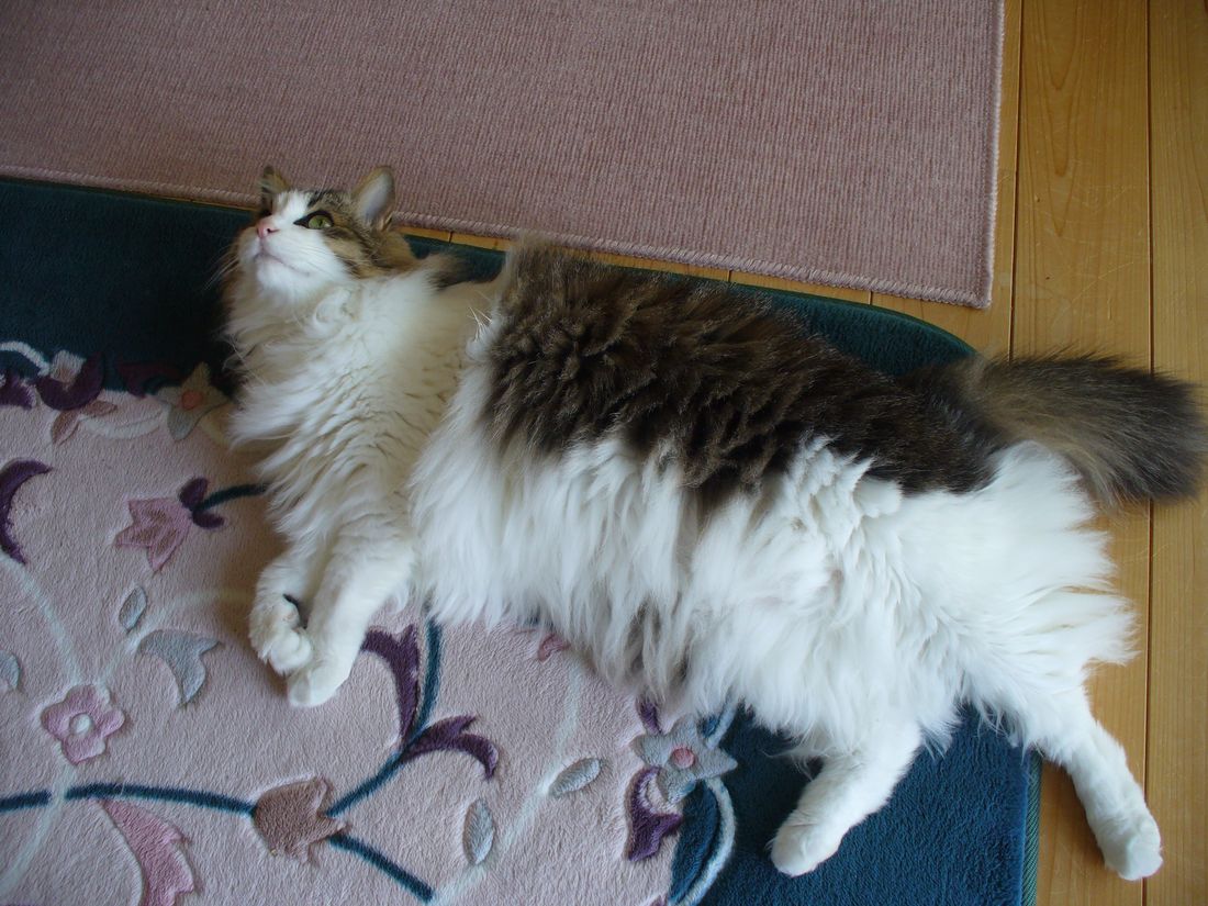 f0275632_2291136.jpg