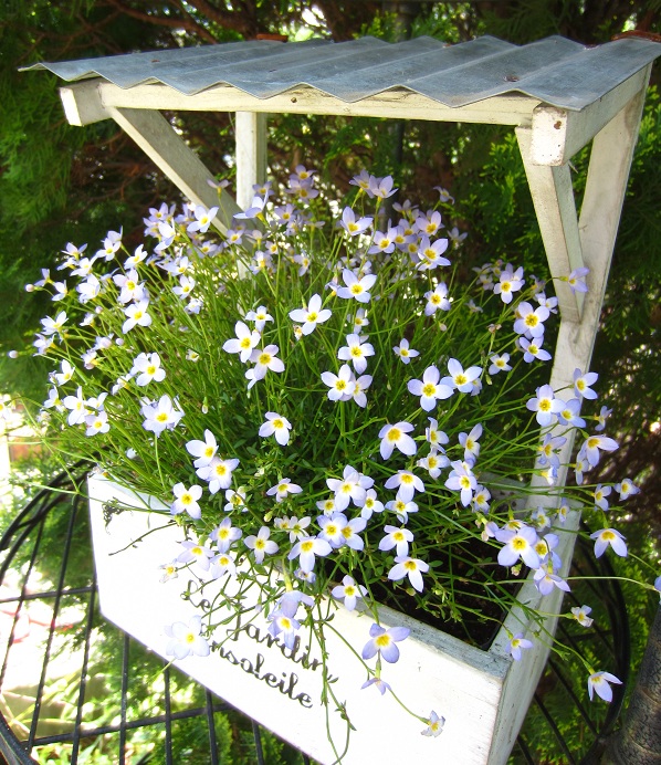 f0002833_19124492.jpg