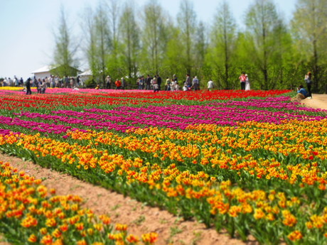 c0239235_20301889.jpg