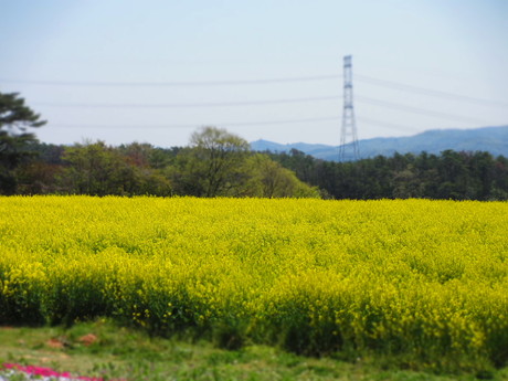 c0239235_20323241.jpg
