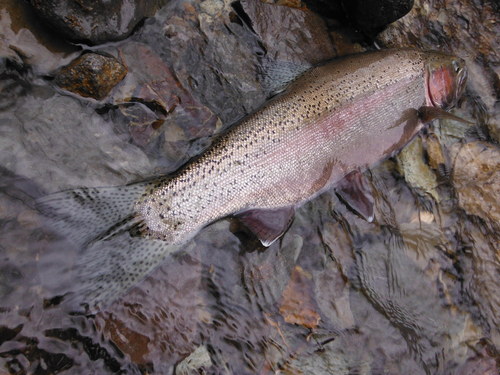 e0262235_18542259.jpg