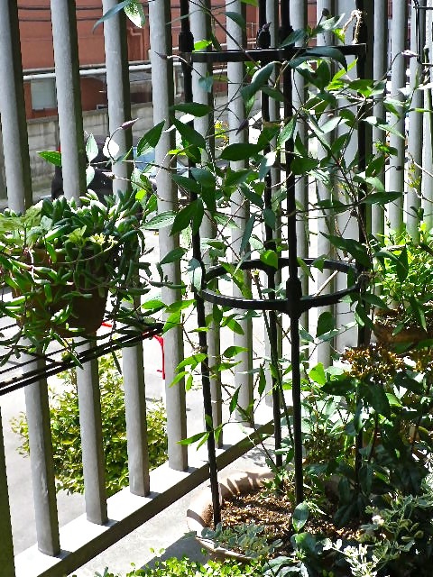 b0027736_1348055.jpg