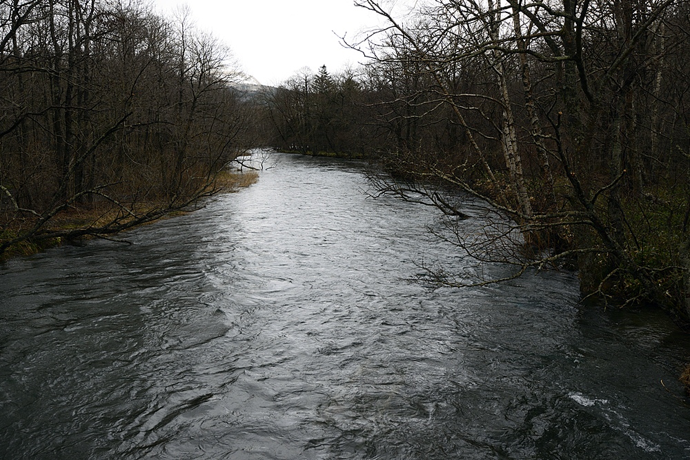 c0221838_17375178.jpg