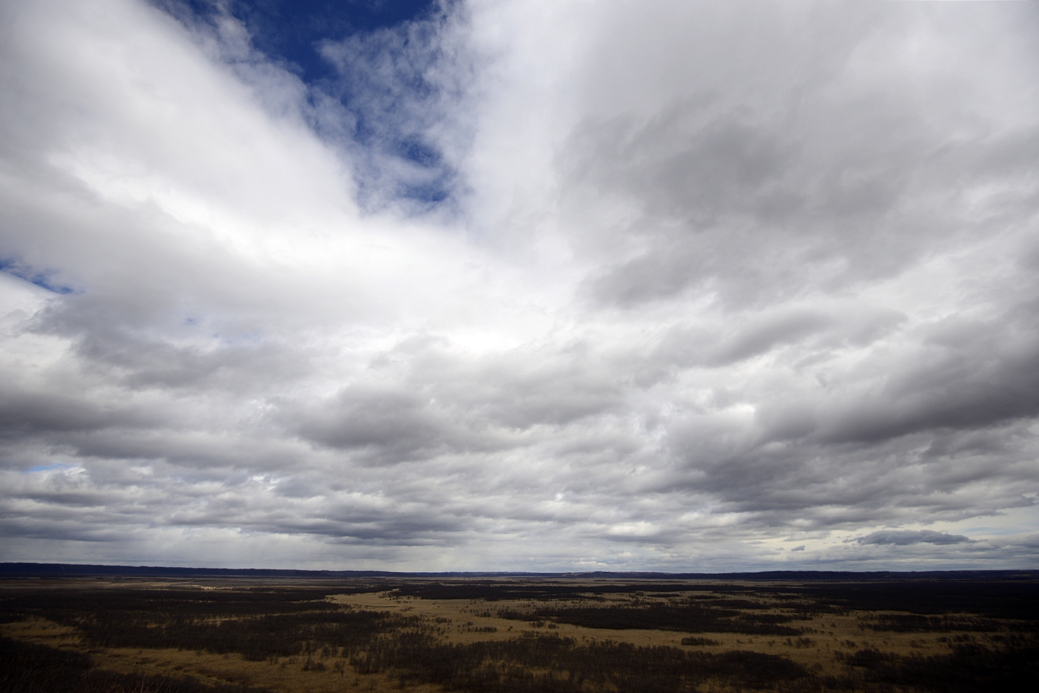 c0221838_173992.jpg